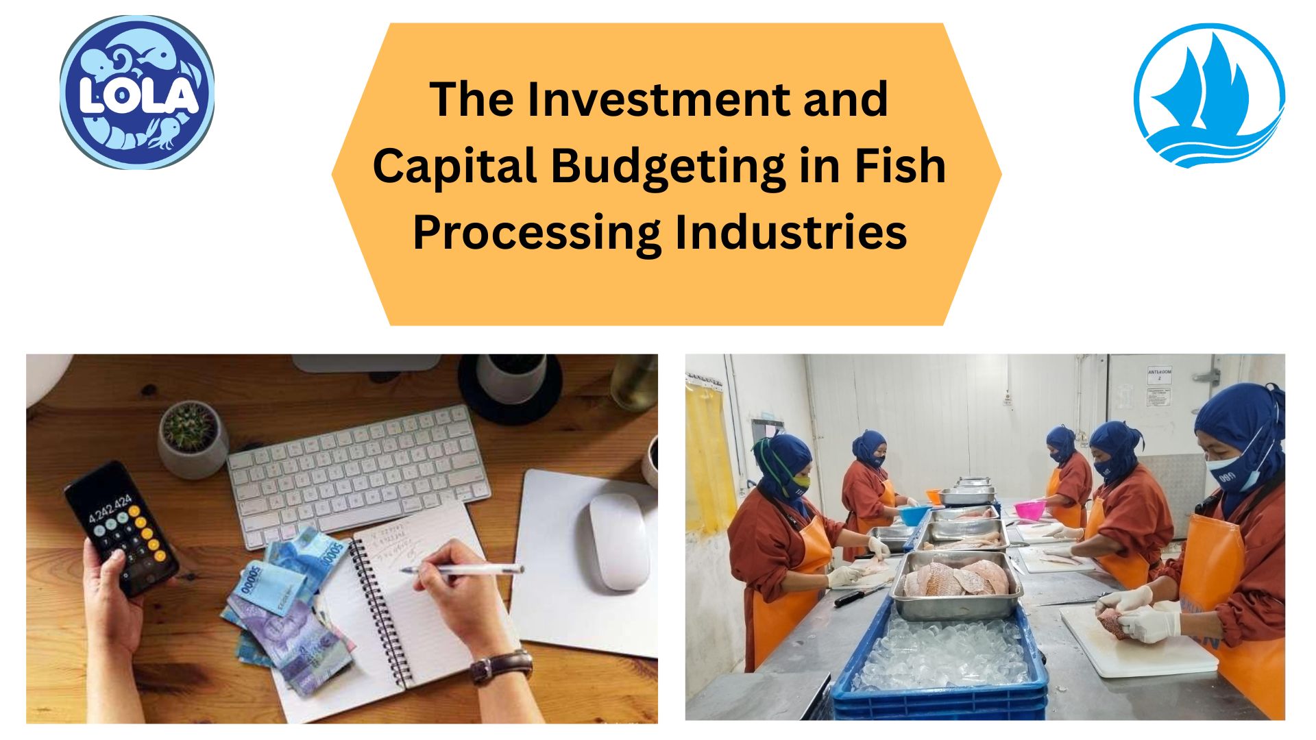  The Investment and Capital Budgeting in Fish Processing Industries